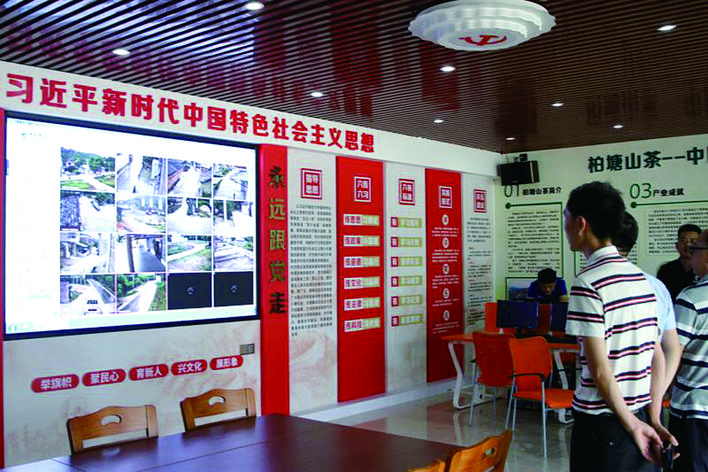 柏塘镇龙头村党群服务中心内,“平安乡村”的监控视频,村里各位置一目了然。